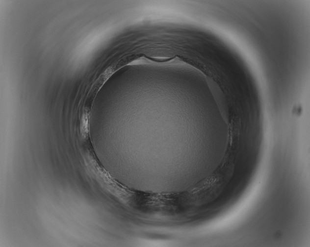 X0000110990190200906191436