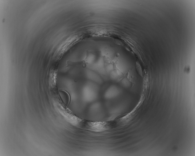 X0000110990191200906191436