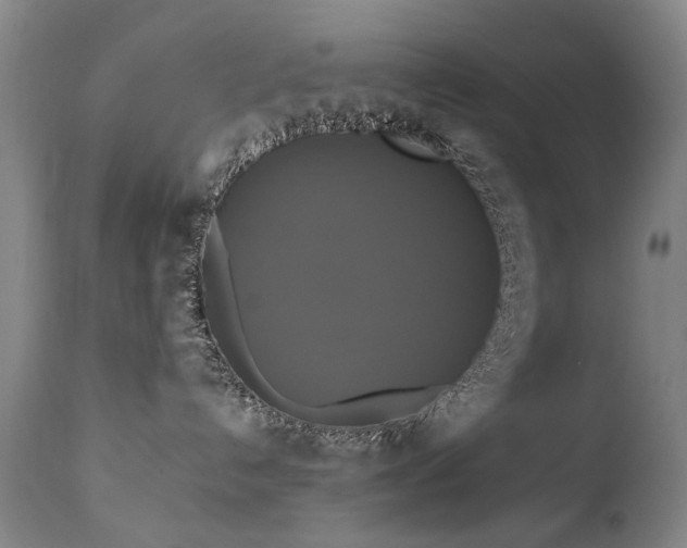 X0000110990192200906191436
