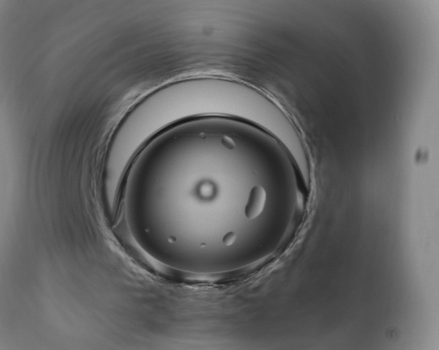 X0000110990193200906191435