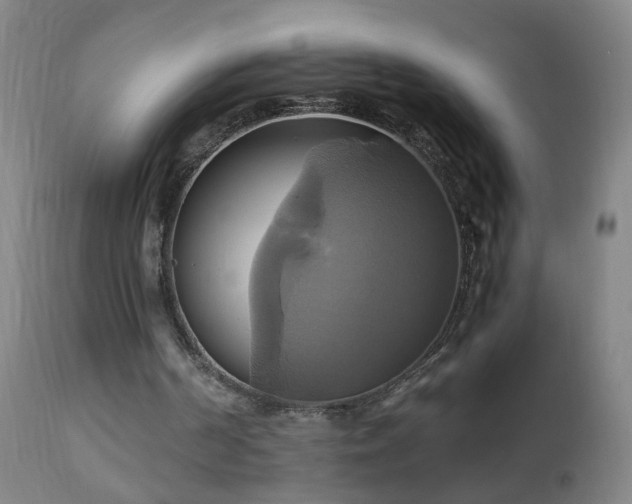X0000110990194200906191435