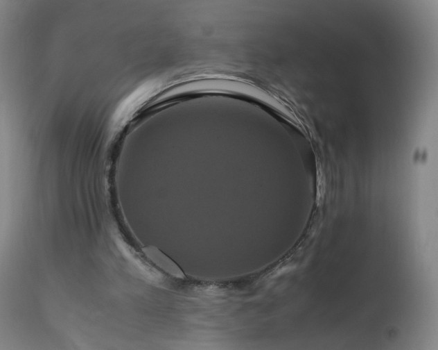 X0000110990197200906191435