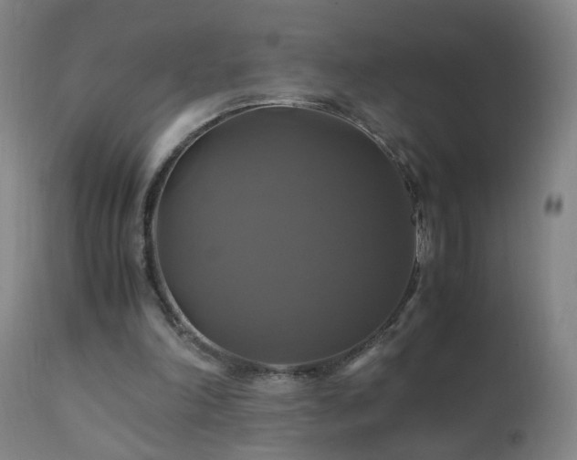 X0000110990198200906191435