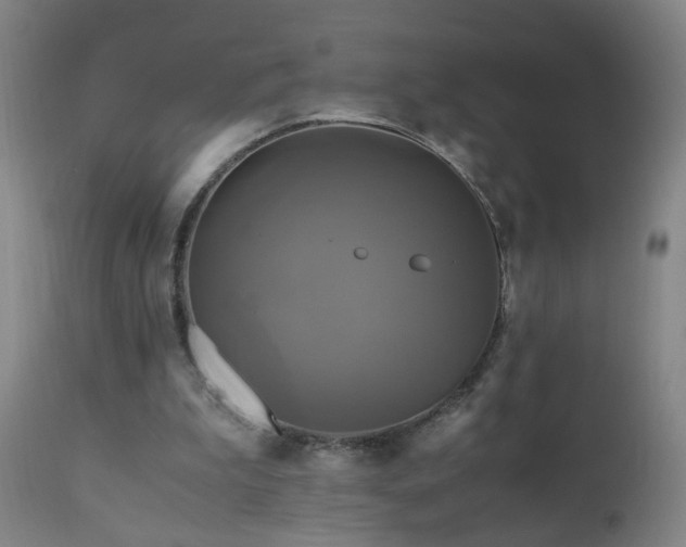 X0000110990199200906191435