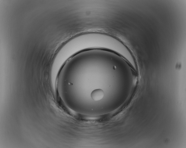 X0000110990201200906191435