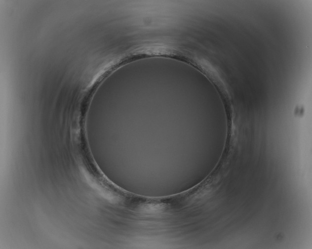 X0000110990202200906191435