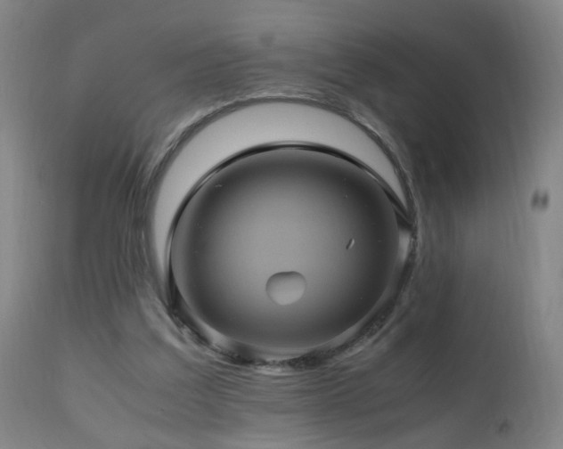 X0000110990203200906191435