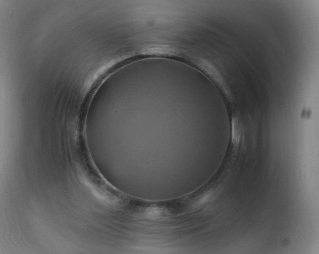 X0000110990204200906191435
