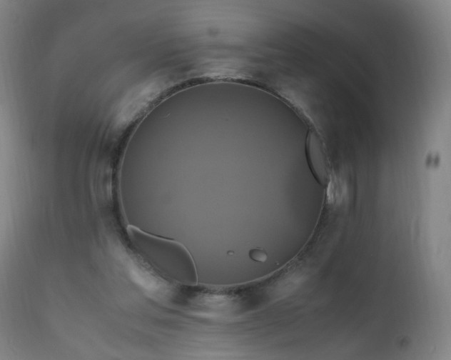 X0000110990205200906191435