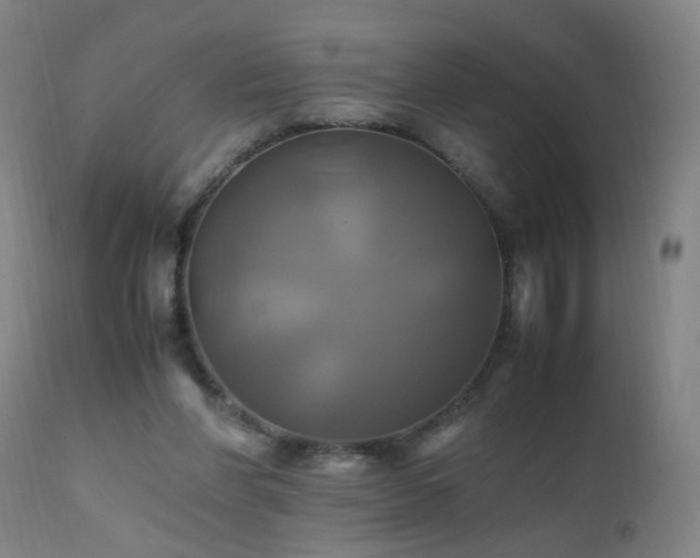 X0000110990206200906191435