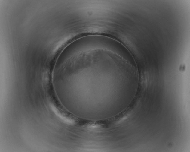 X0000110990208200906191435