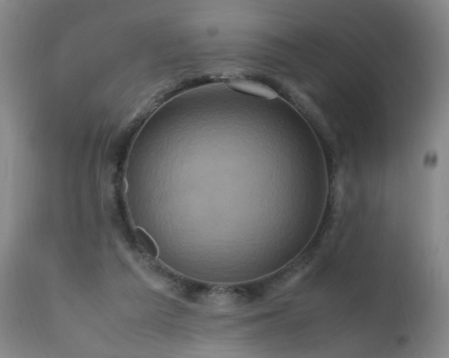X0000110990209200906191435
