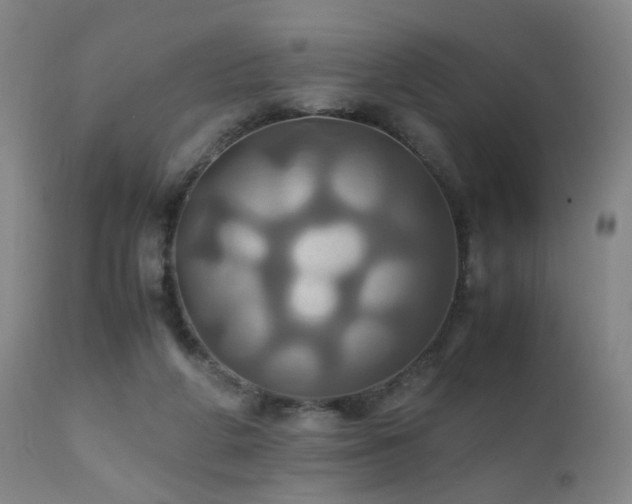 X0000110990210200906191435