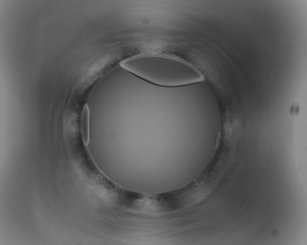 X0000110990211200906191435