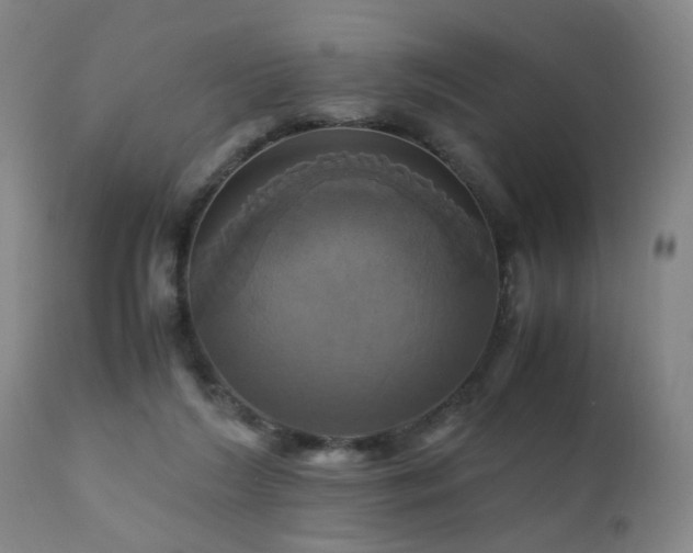 X0000110990212200906191435