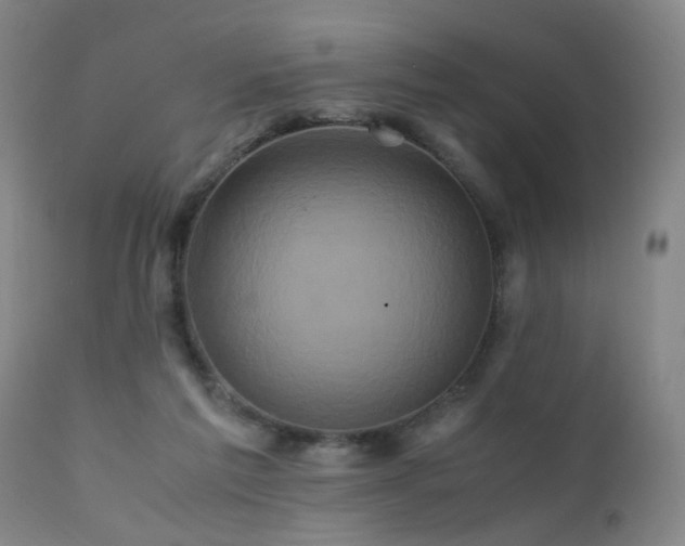 X0000110990213200906191435