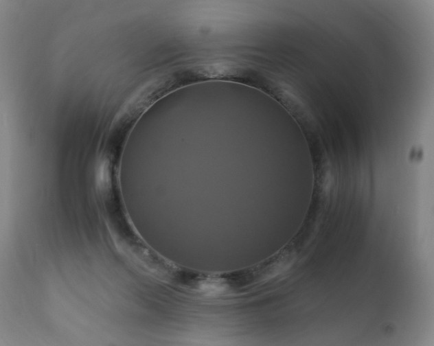 X0000110990214200906191435
