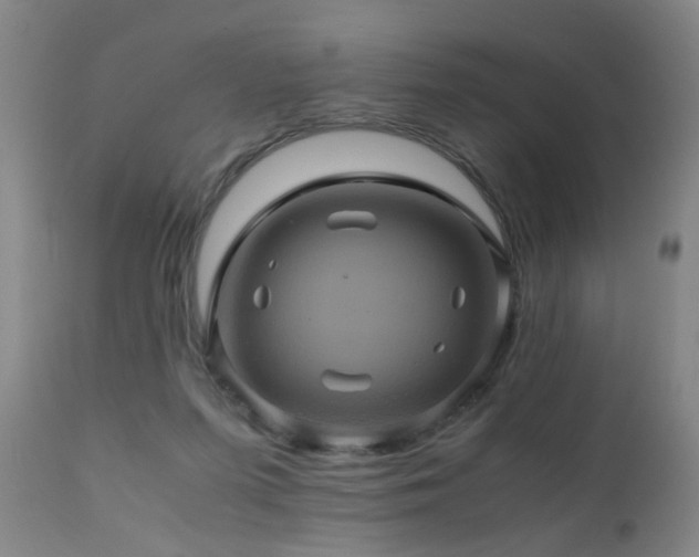 X0000110990215200906191435