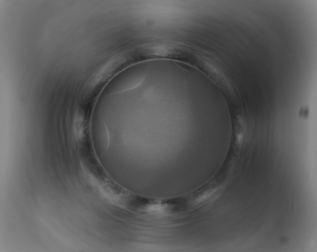 X0000110990216200906191435