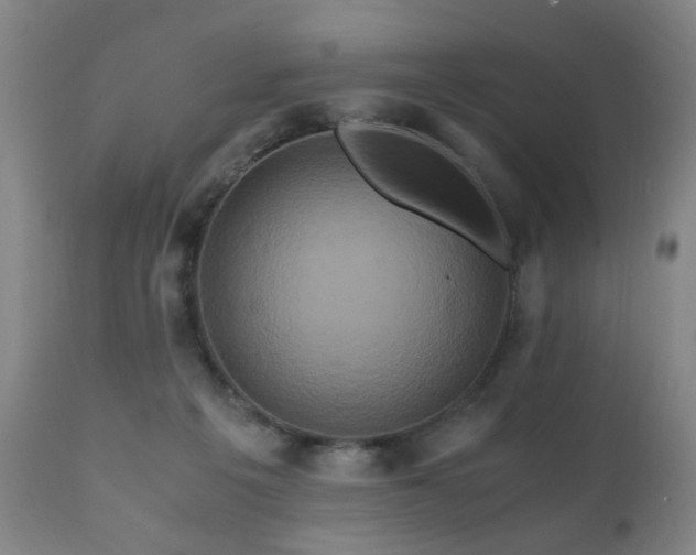 X0000110990217200906191435