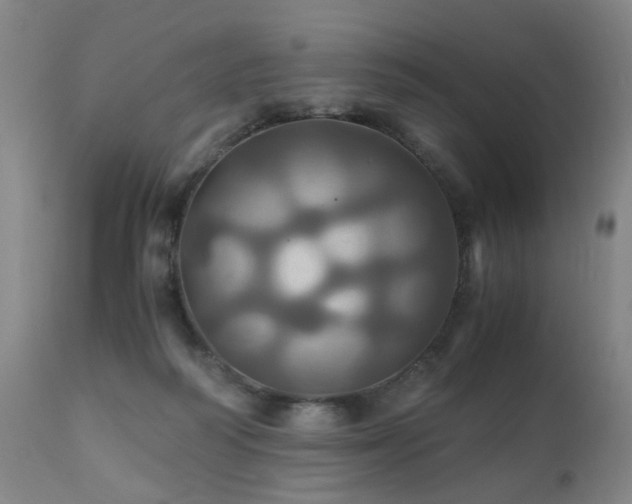 X0000110990218200906191435