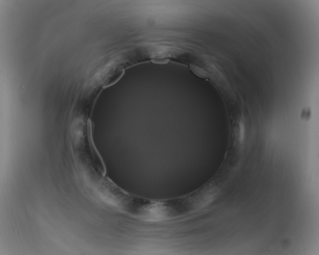 X0000110990219200906191435