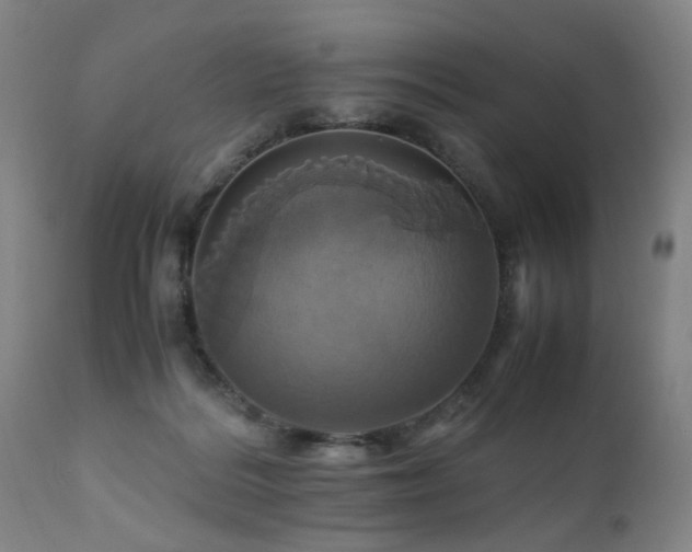 X0000110990220200906191435
