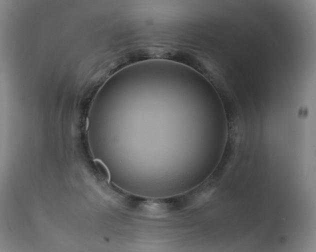 X0000110990221200906191435