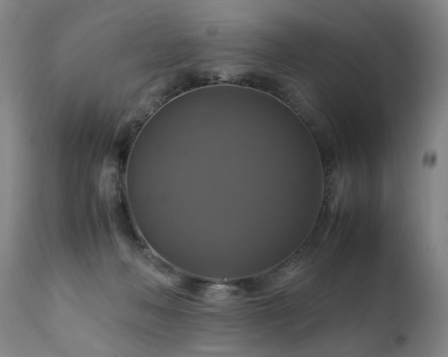 X0000110990222200906191435