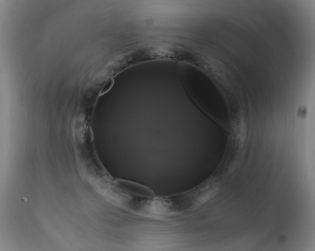 X0000110990223200906191435