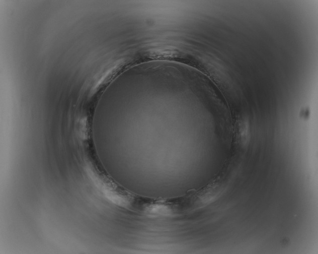 X0000110990224200906191435