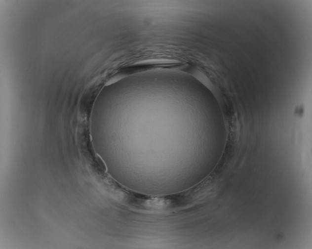 X0000110990225200906191435