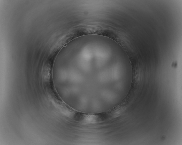 X0000110990226200906191434