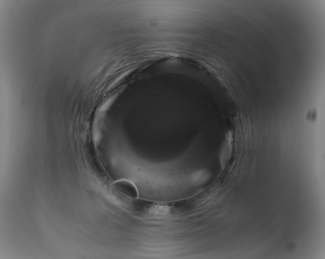X0000110990227200906191434