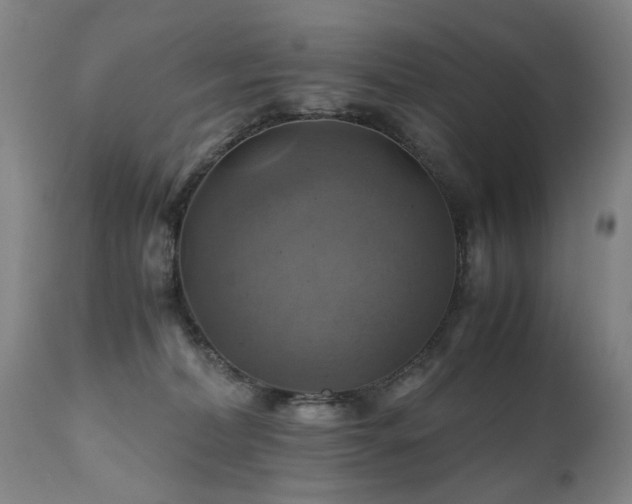 X0000110990228200906191434