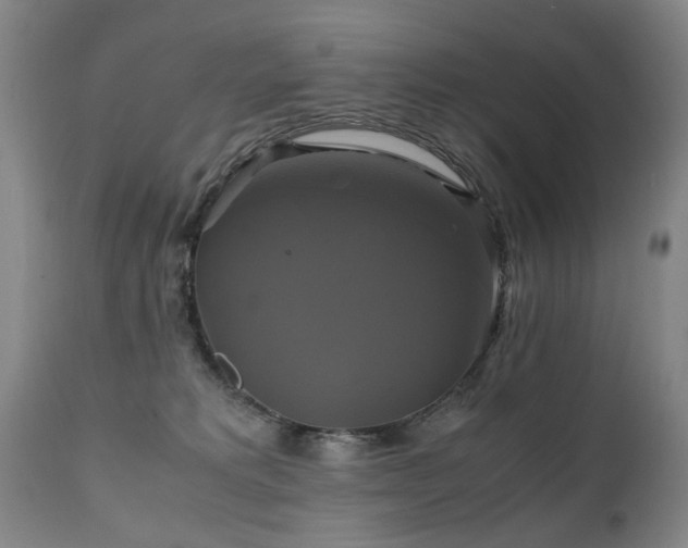 X0000110990229200906191434