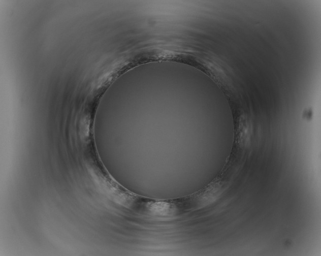 X0000110990230200906191434