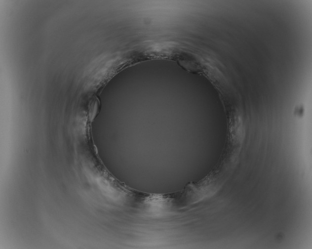 X0000110990231200906191434