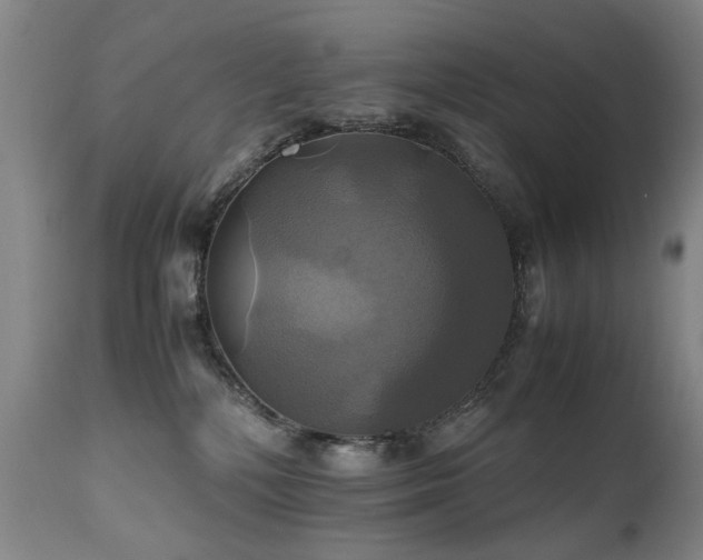 X0000110990232200906191434