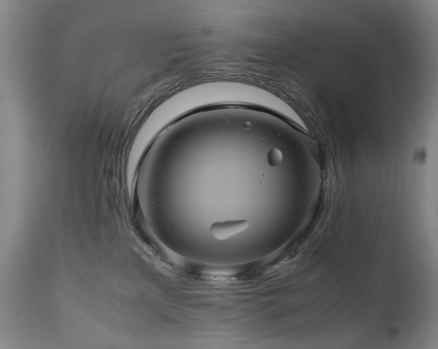 X0000110990233200906191434