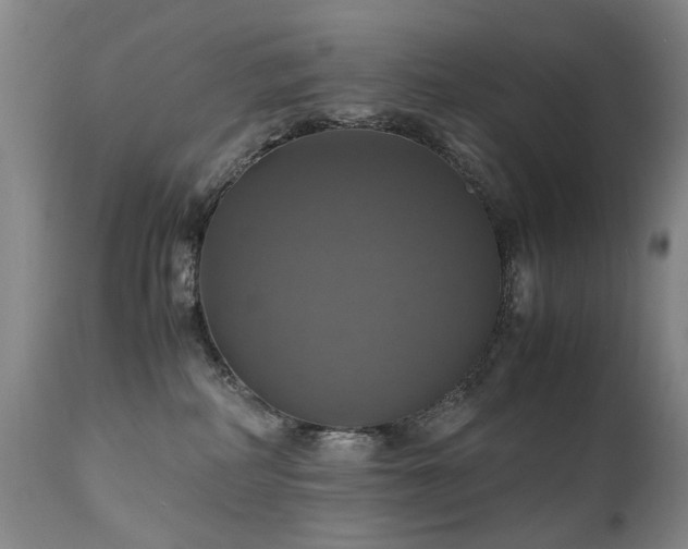 X0000110990234200906191434