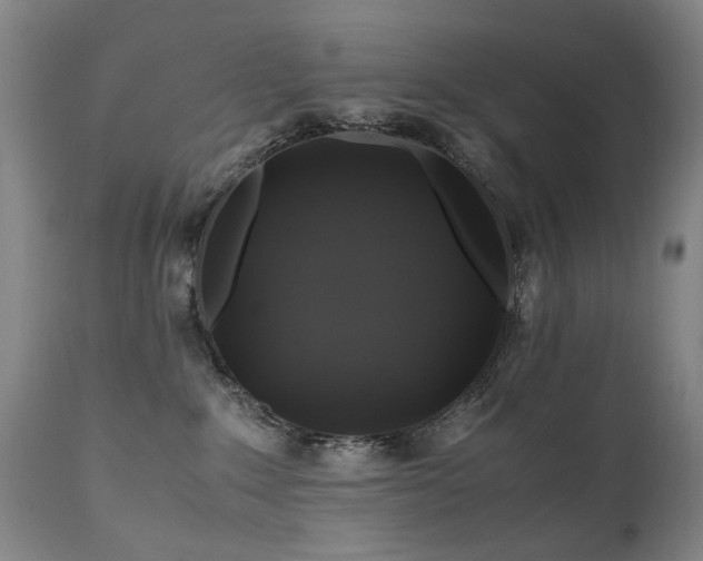 X0000110990235200906191434