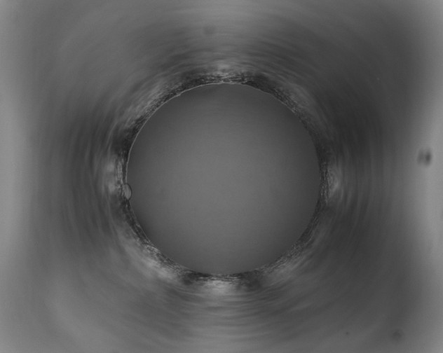 X0000110990236200906191434