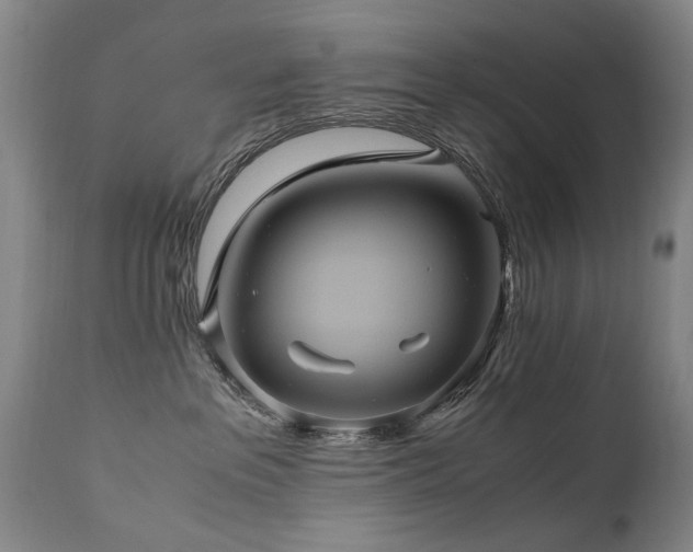 X0000110990237200906191434