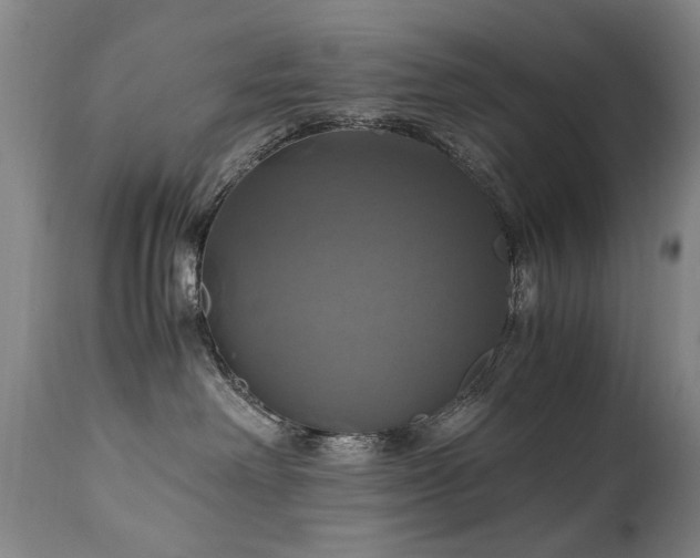 X0000110990238200906191434
