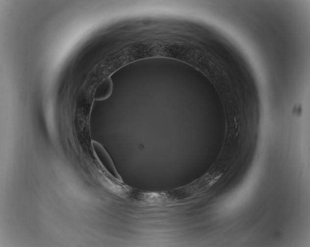 X0000110990239200906191434