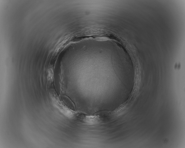 X0000110990240200906191434