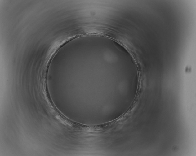 X0000110990241200906191433