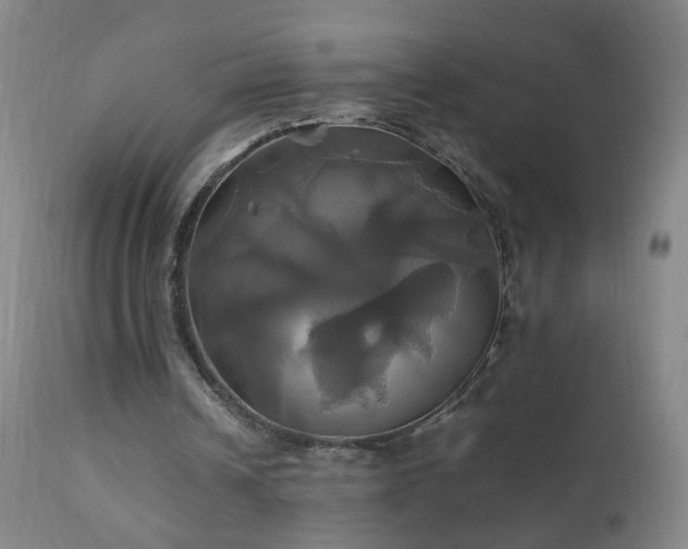 X0000110990242200906191434