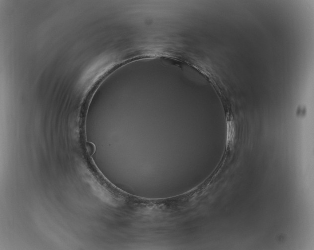 X0000110990243200906191434
